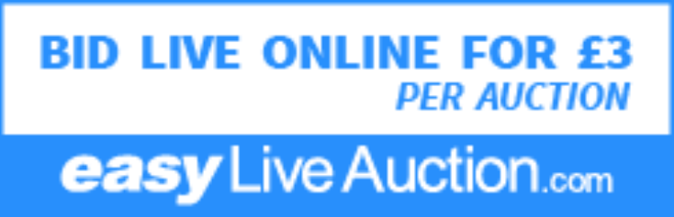 Easy Live Auction Bid Live PNG Sml